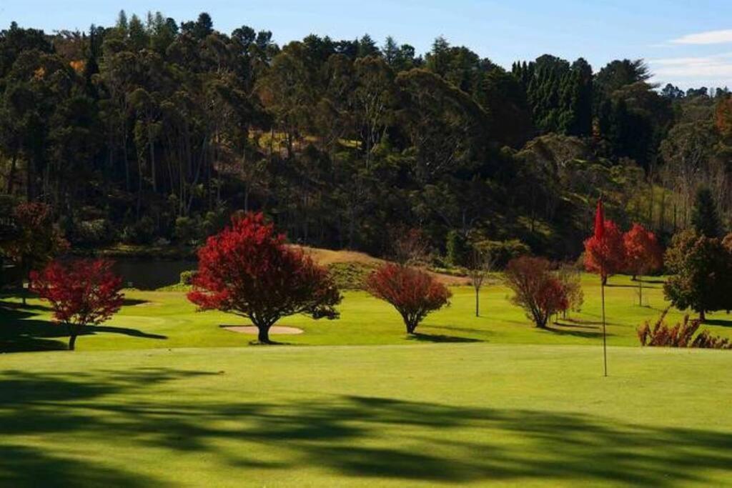 Nuach Cottage - Beautiful Family Home In Leura Luaran gambar